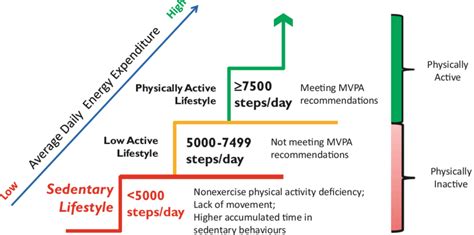 mvpa guidelines.